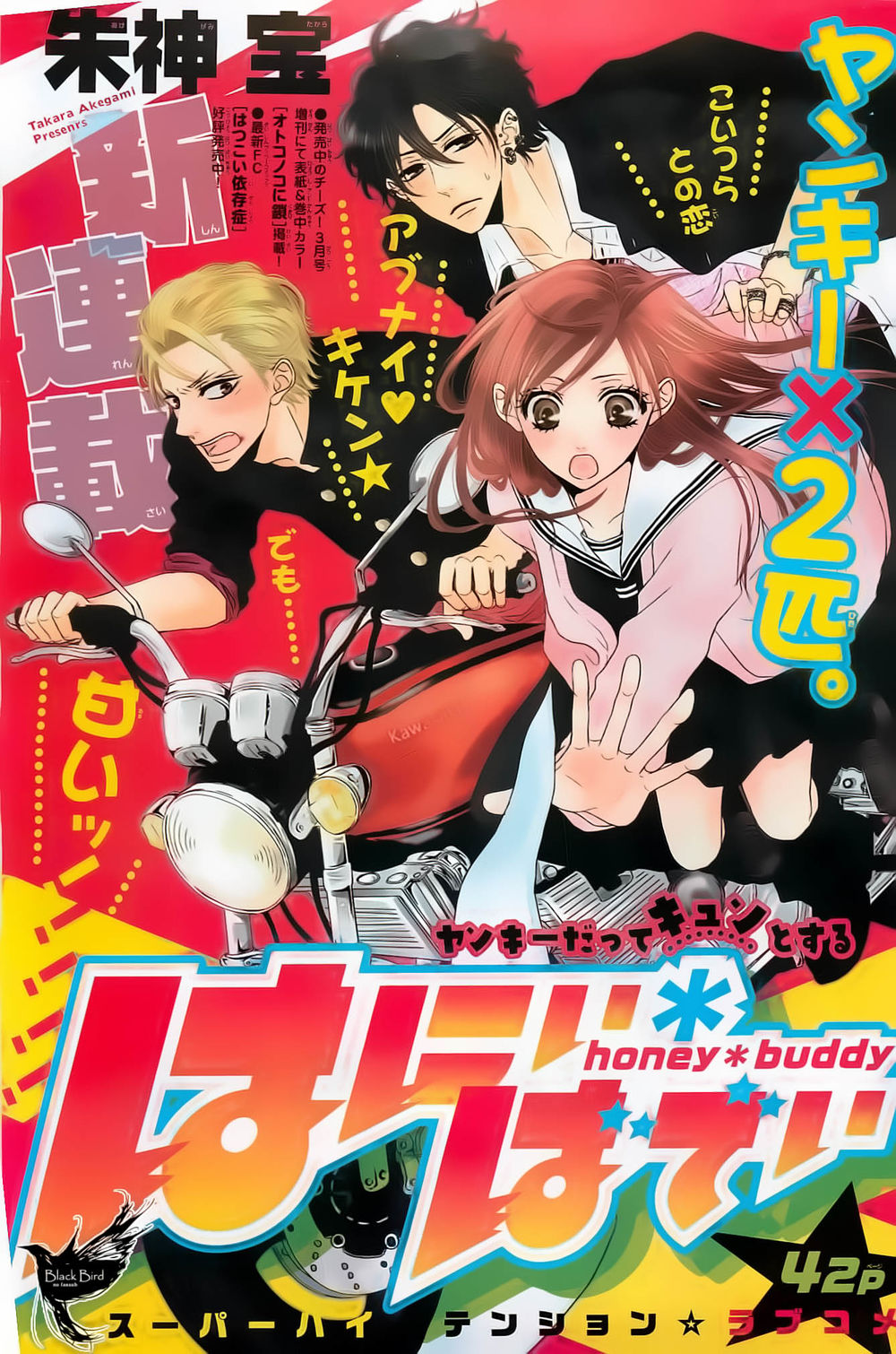 Honey Buddy Chapter 1 - 1