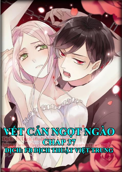 Vết Cắn Ngọt Ngào Chapter 37 - 1