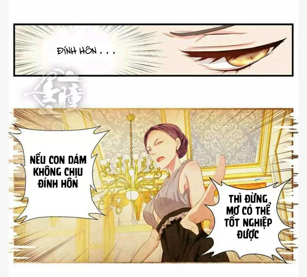 Chỉ Nhiễm Thành Hôn Chapter 1 - 7