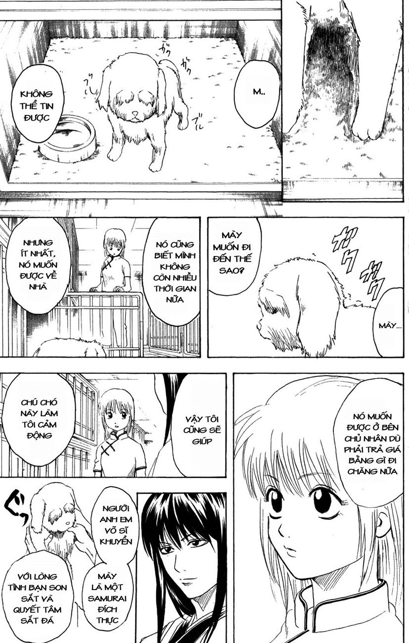 Gintama Chapter 207 - 13