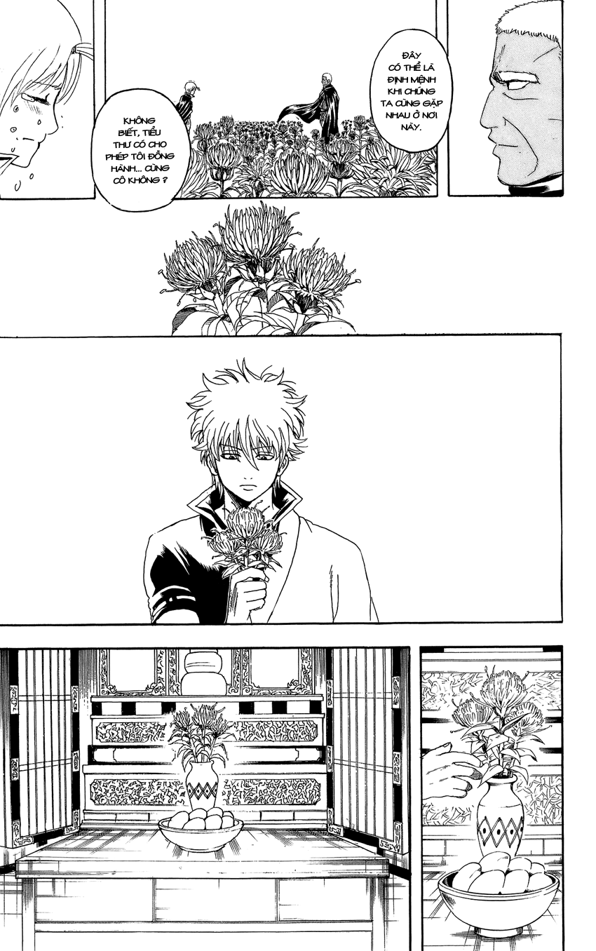 Gintama Chapter 309 - 24