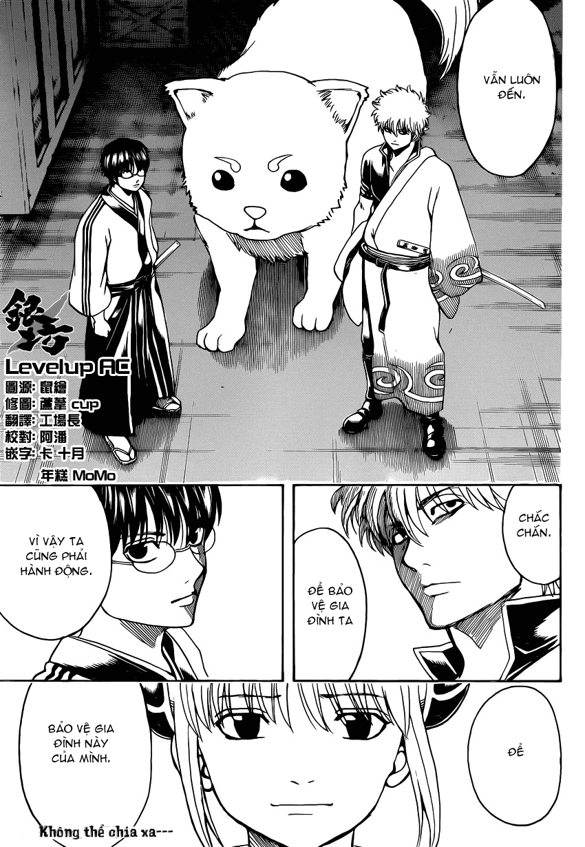 Gintama Chapter 556 - 17