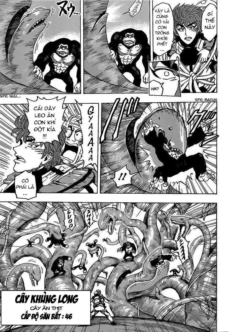 Toriko - Thợ Săn Ẩm Thực Chapter 104 - 13