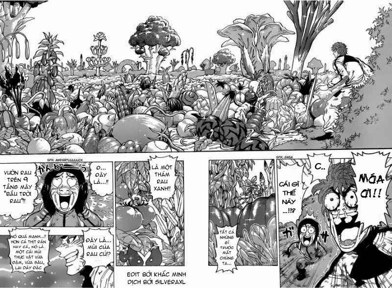 Toriko - Thợ Săn Ẩm Thực Chapter 106 - 10