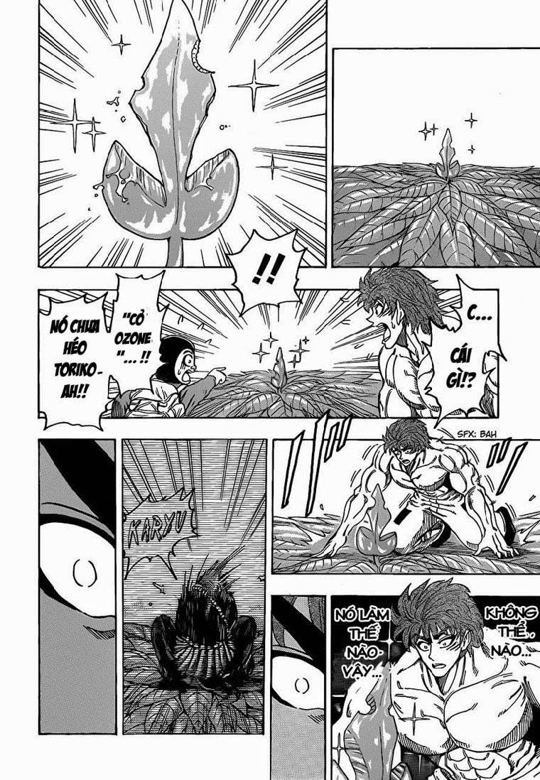 Toriko - Thợ Săn Ẩm Thực Chapter 109 - 9