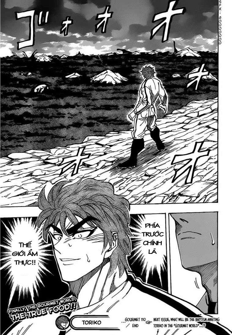 Toriko - Thợ Săn Ẩm Thực Chapter 110 - 19