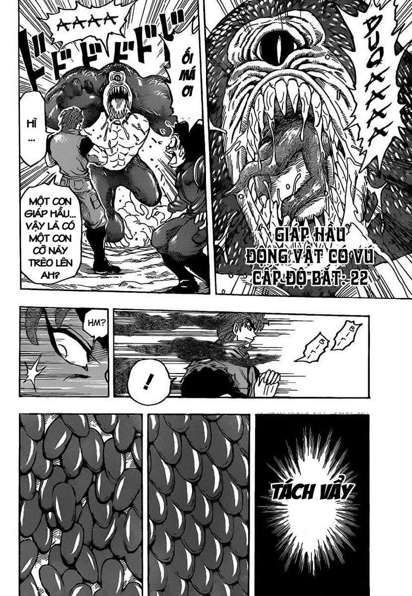 Toriko - Thợ Săn Ẩm Thực Chapter 115 - 16