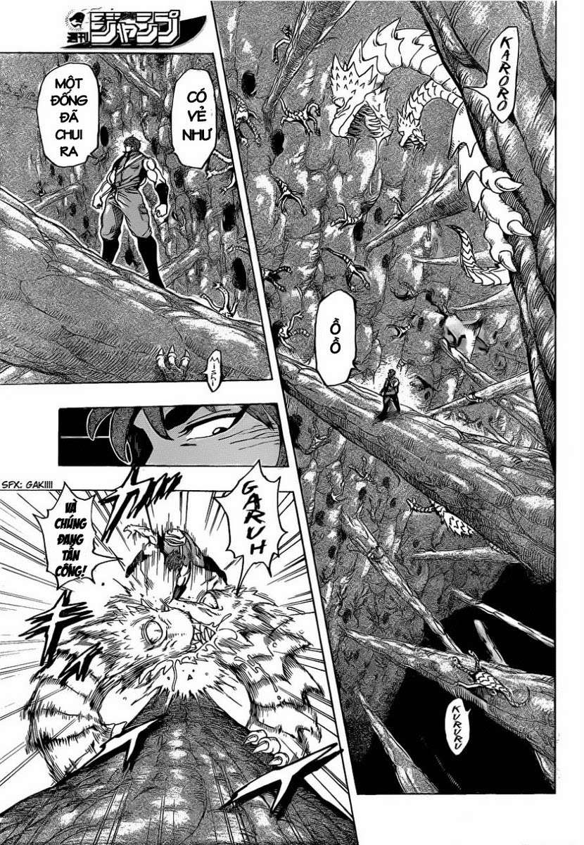 Toriko - Thợ Săn Ẩm Thực Chapter 119 - 4