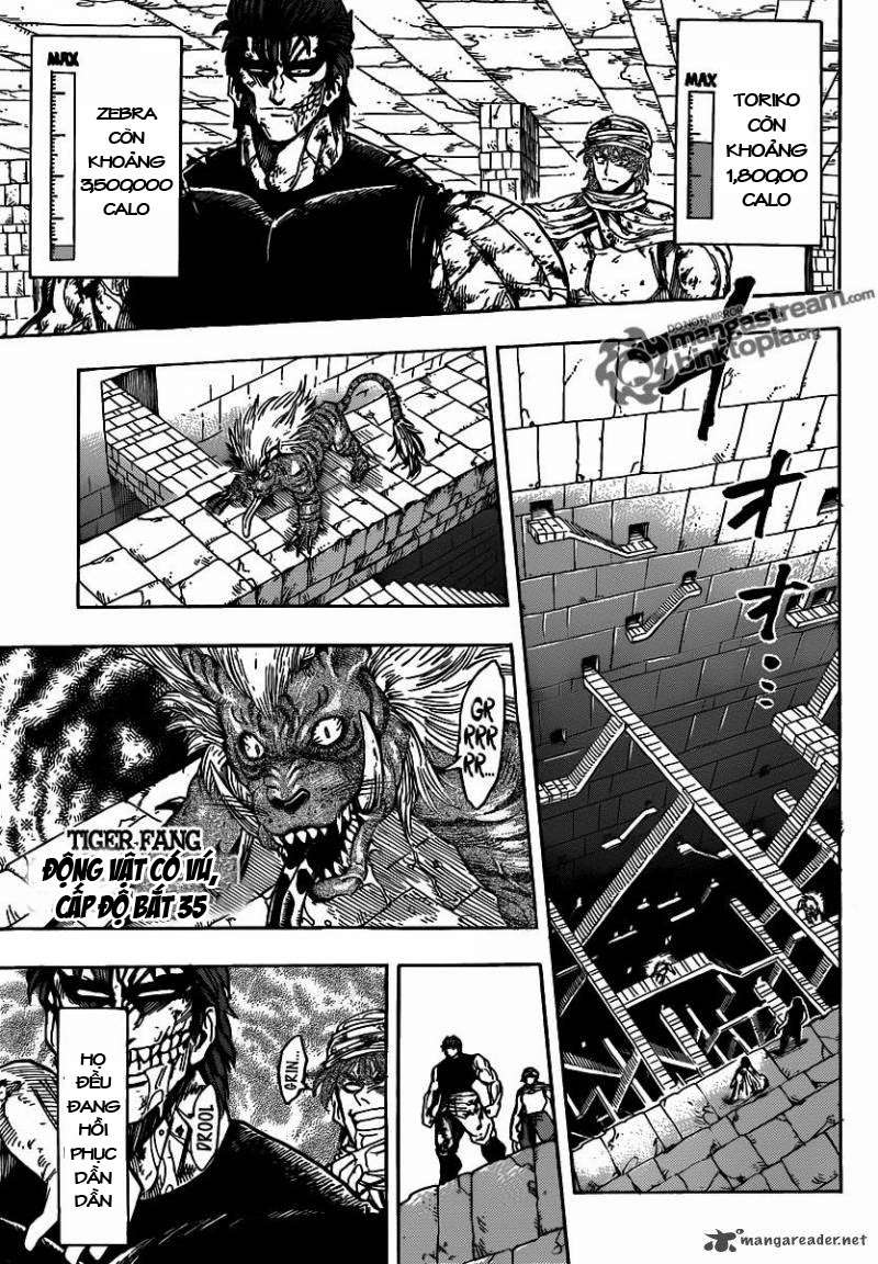 Toriko - Thợ Săn Ẩm Thực Chapter 135 - 8