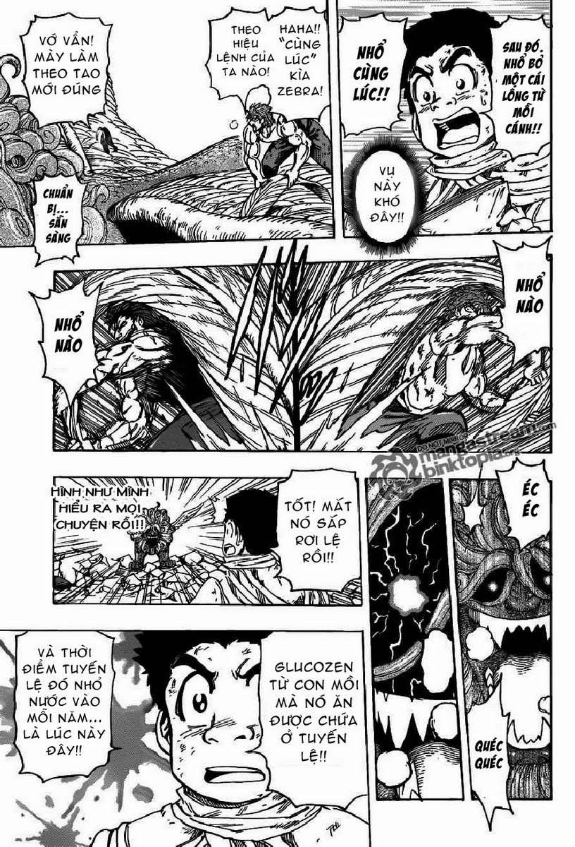 Toriko - Thợ Săn Ẩm Thực Chapter 138 - 15