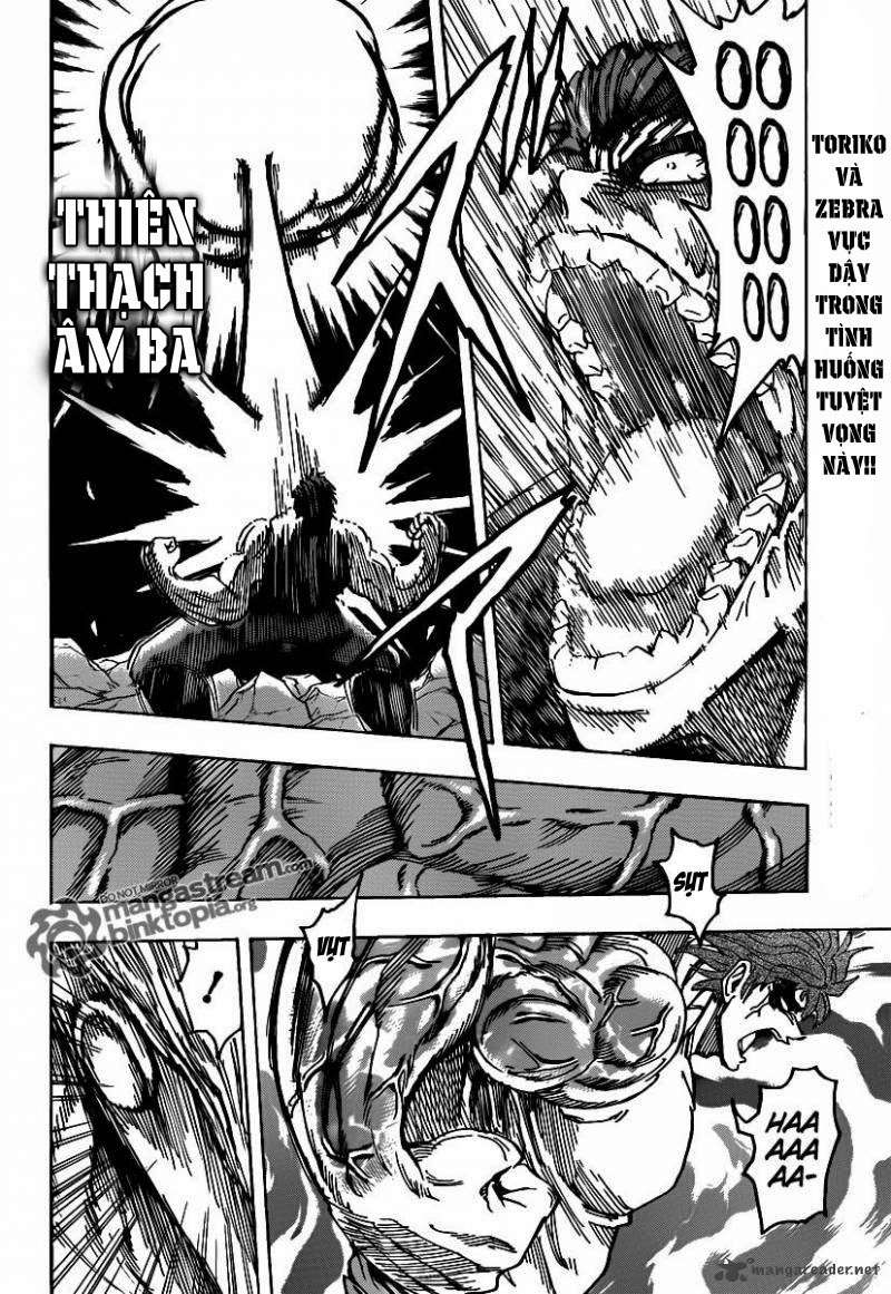 Toriko - Thợ Săn Ẩm Thực Chapter 140 - 2