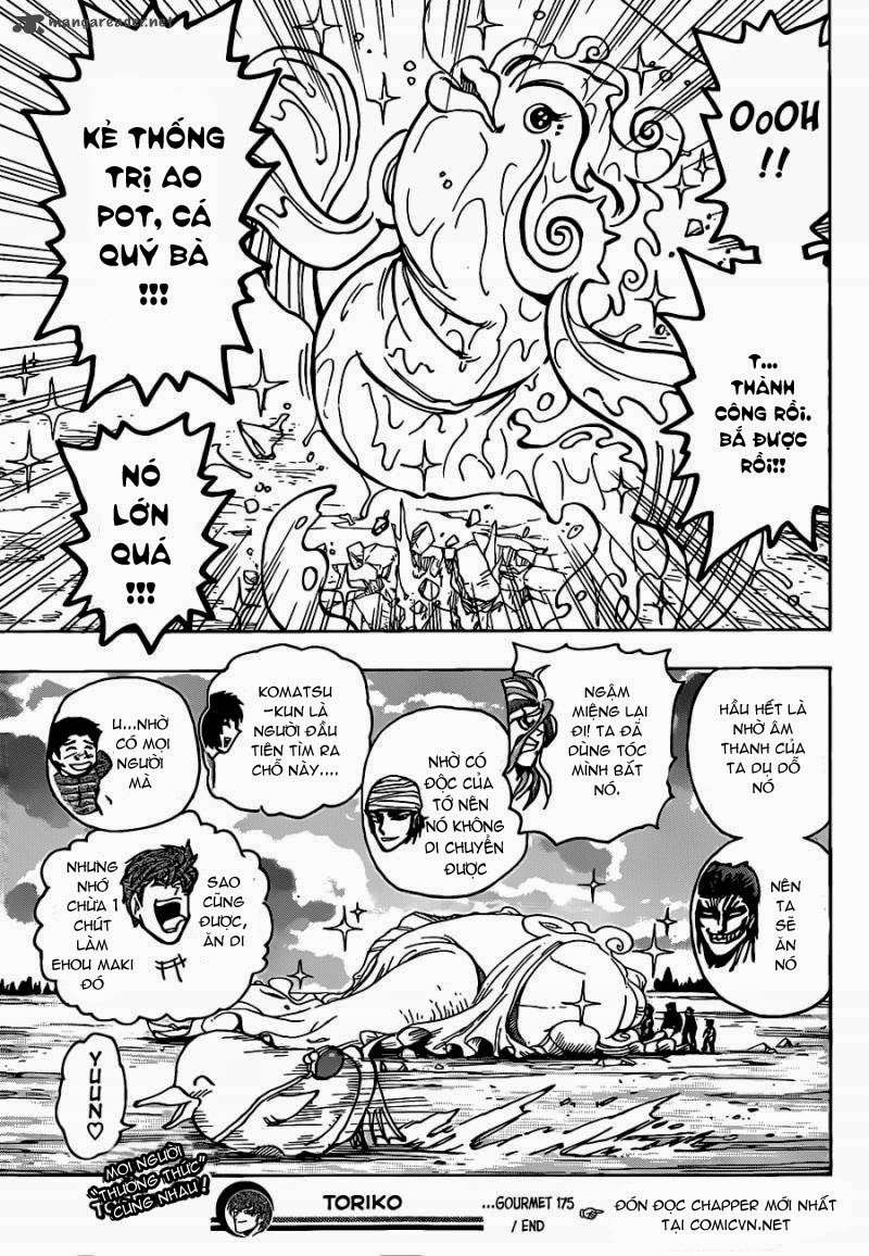 Toriko - Thợ Săn Ẩm Thực Chapter 175 - 20