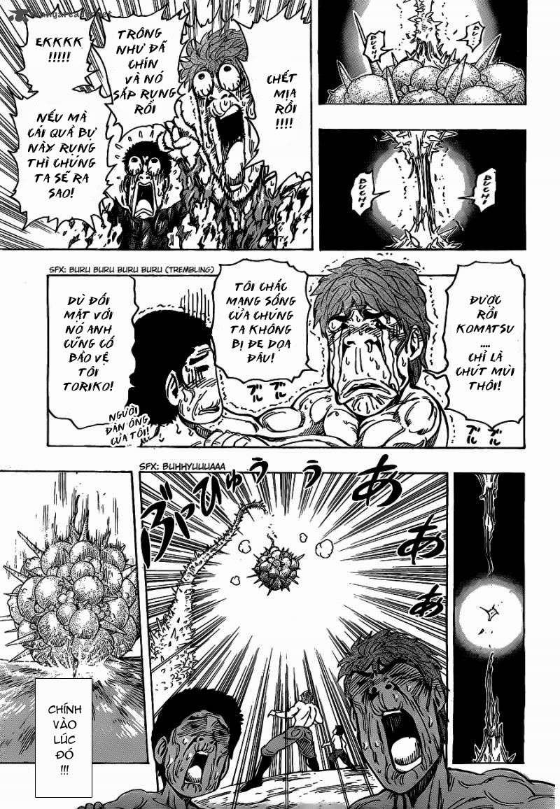 Toriko - Thợ Săn Ẩm Thực Chapter 177 - 17