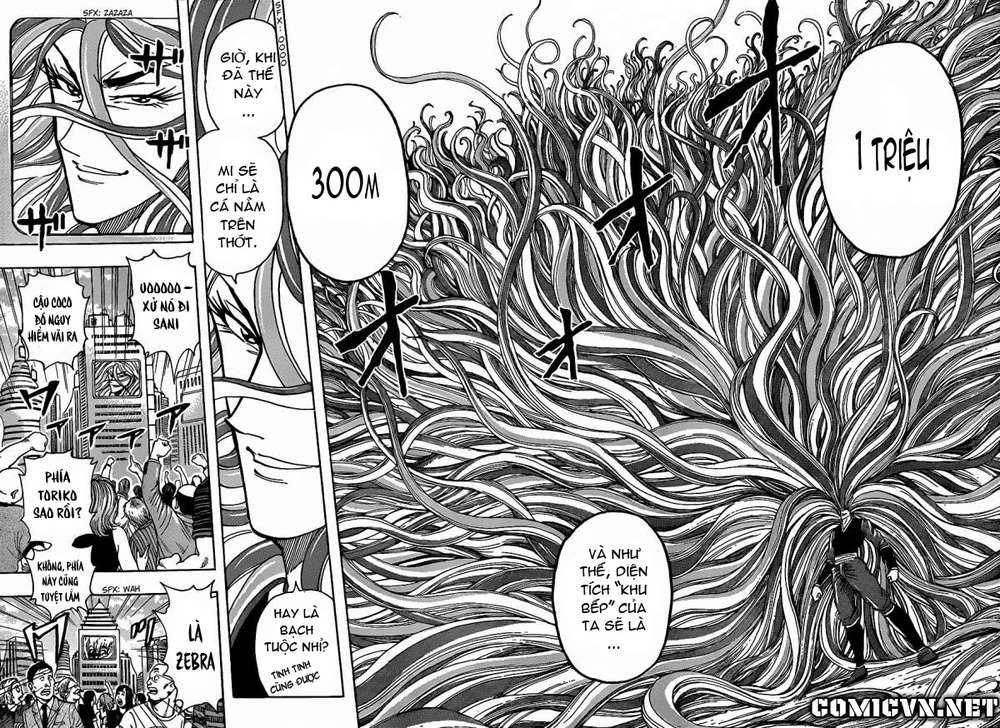 Toriko - Thợ Săn Ẩm Thực Chapter 198 - 13