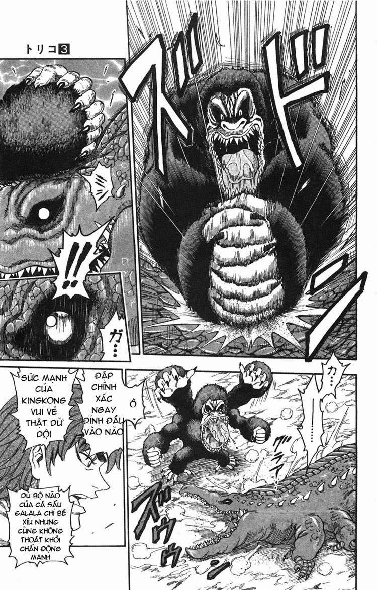 Toriko - Thợ Săn Ẩm Thực Chapter 21 - 9