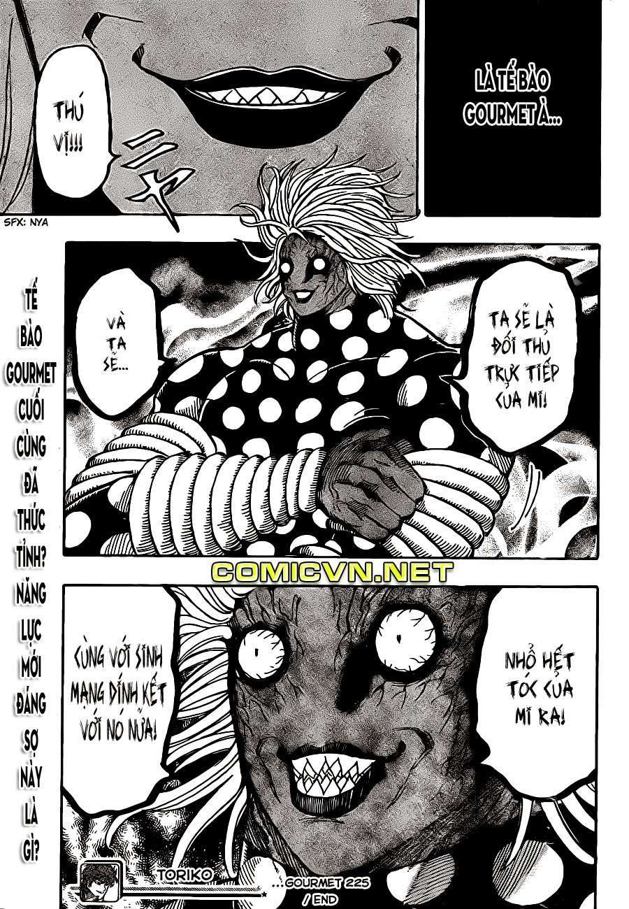 Toriko - Thợ Săn Ẩm Thực Chapter 225 - 19