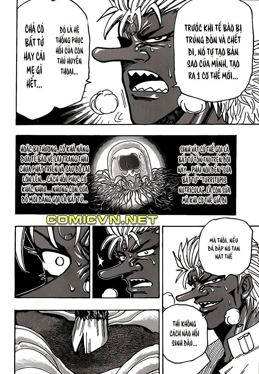 Toriko - Thợ Săn Ẩm Thực Chapter 228 - 12