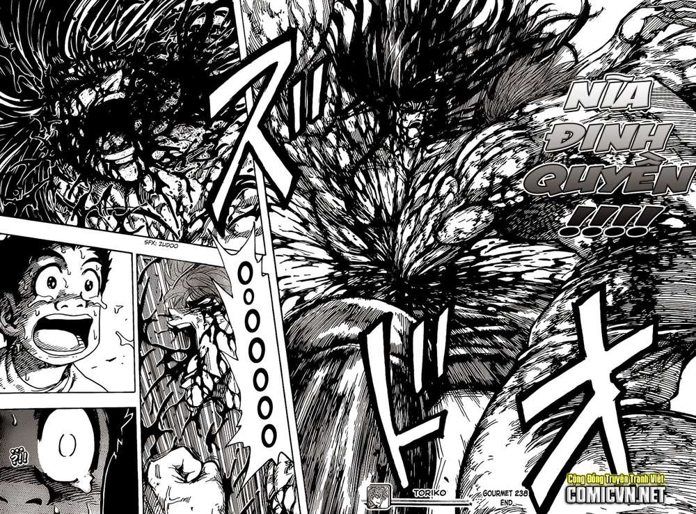 Toriko - Thợ Săn Ẩm Thực Chapter 238 - 17