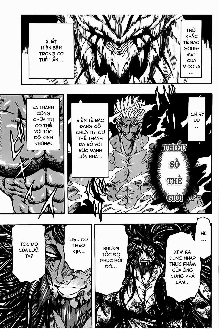 Toriko - Thợ Săn Ẩm Thực Chapter 254 - 8