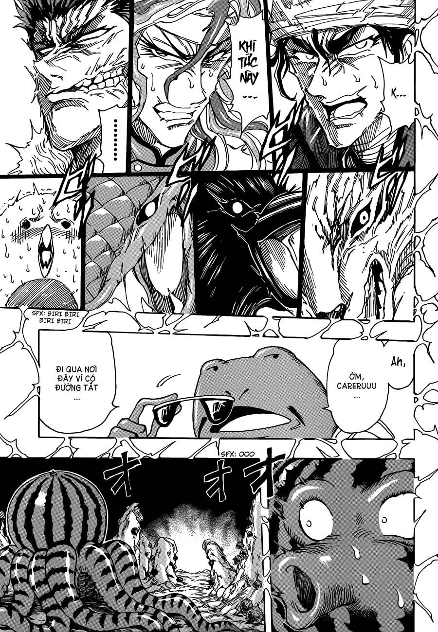 Toriko - Thợ Săn Ẩm Thực Chapter 277 - 11