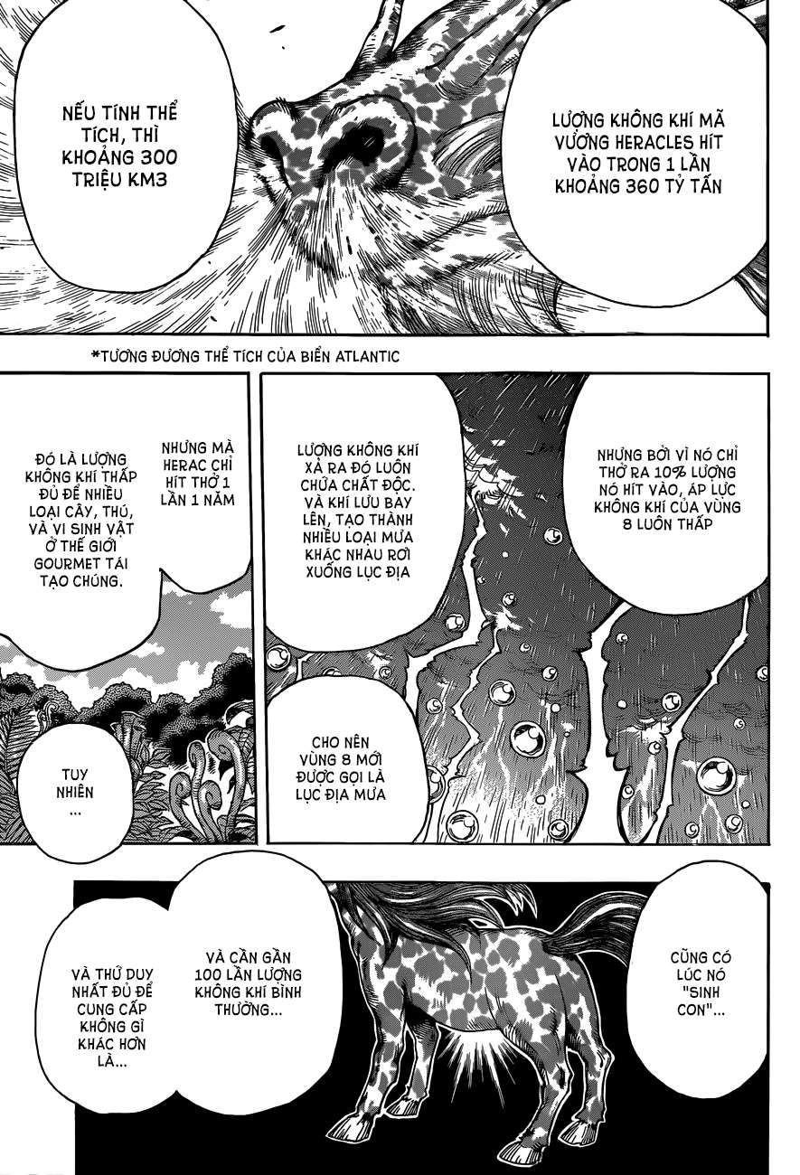 Toriko - Thợ Săn Ẩm Thực Chapter 283 - 13