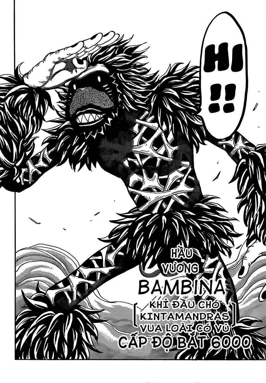 Toriko - Thợ Săn Ẩm Thực Chapter 303 - 9