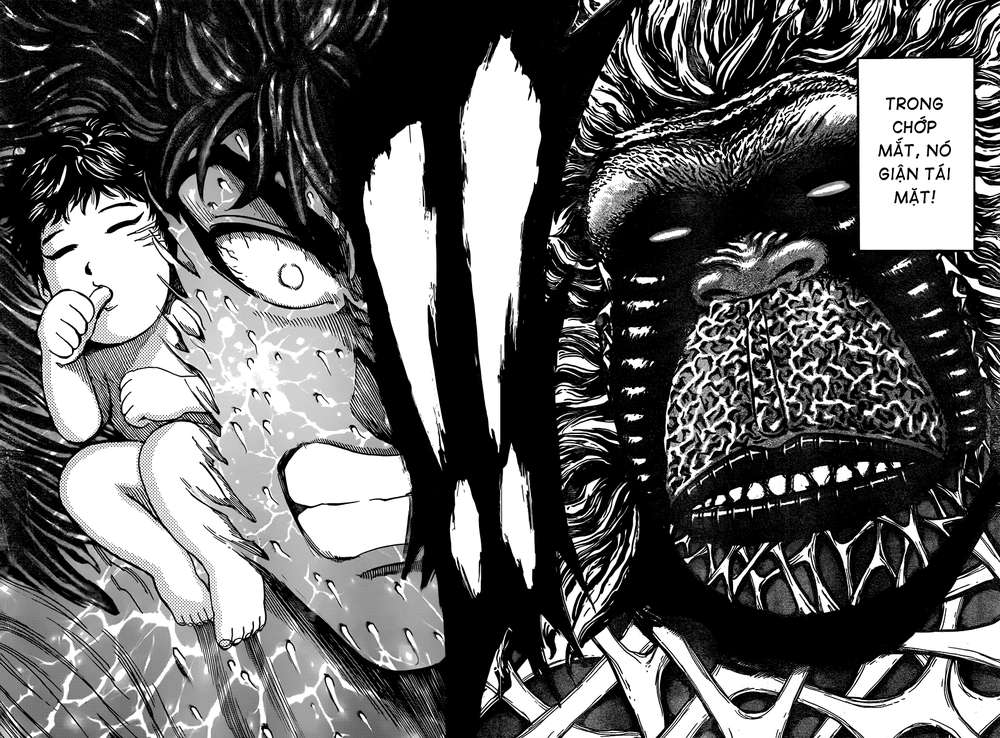 Toriko - Thợ Săn Ẩm Thực Chapter 306 - 12