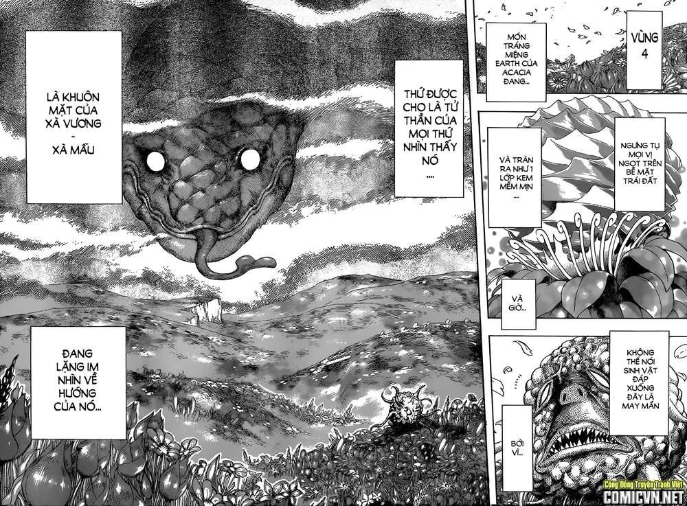 Toriko - Thợ Săn Ẩm Thực Chapter 341 - 15