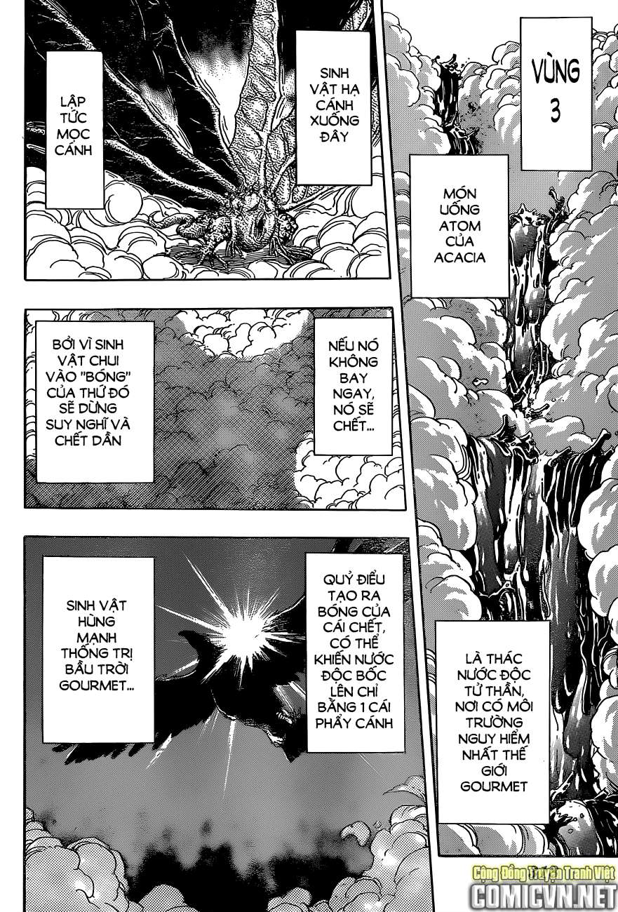 Toriko - Thợ Săn Ẩm Thực Chapter 341 - 16