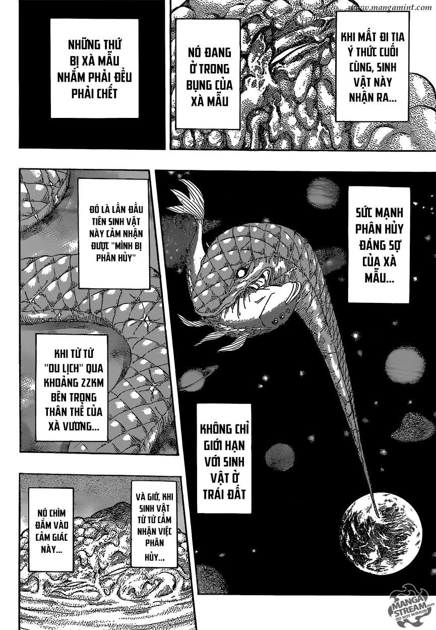 Toriko - Thợ Săn Ẩm Thực Chapter 353 - 11