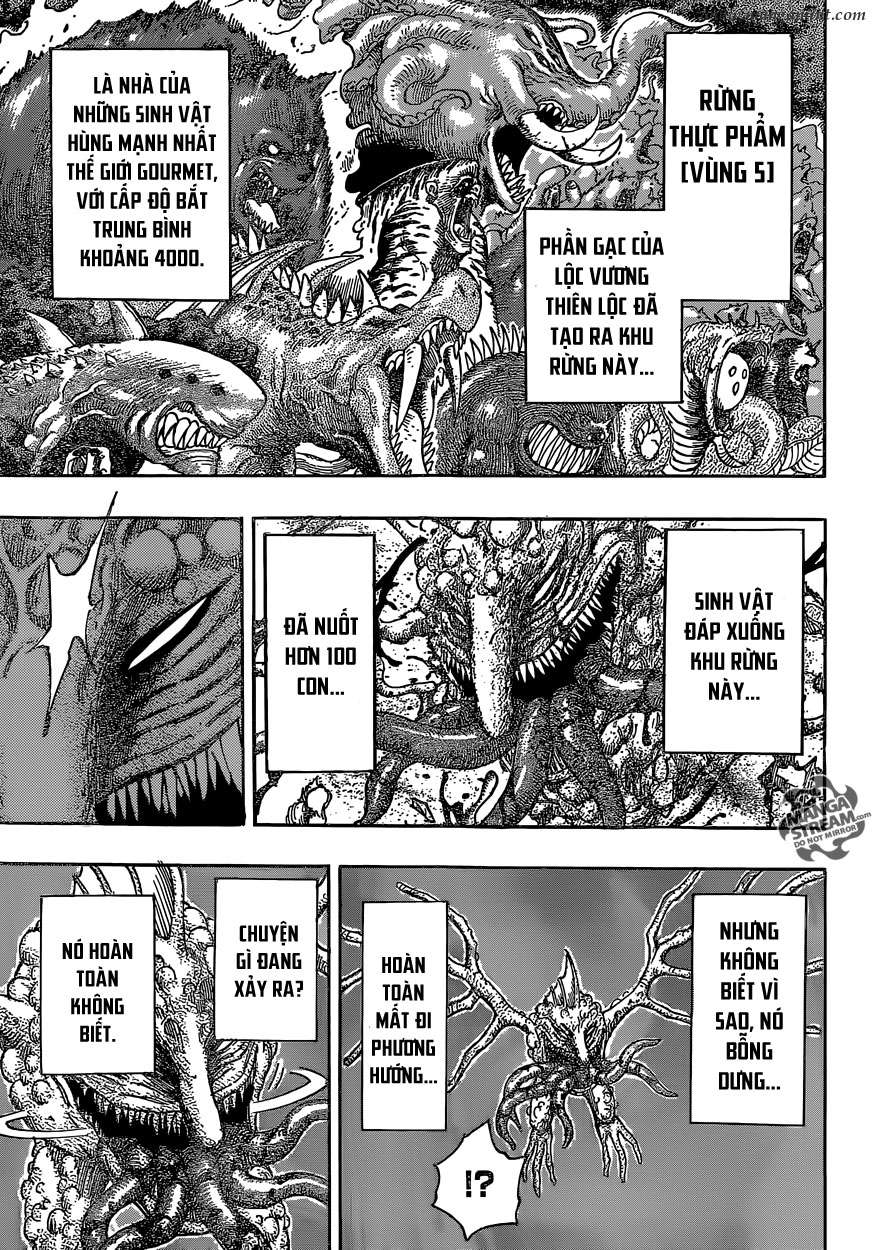 Toriko - Thợ Săn Ẩm Thực Chapter 353 - 8