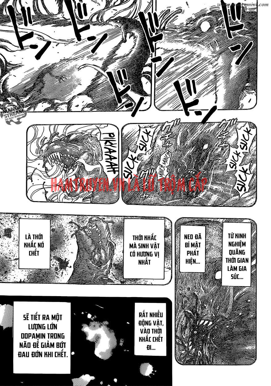 Toriko - Thợ Săn Ẩm Thực Chapter 357 - 11