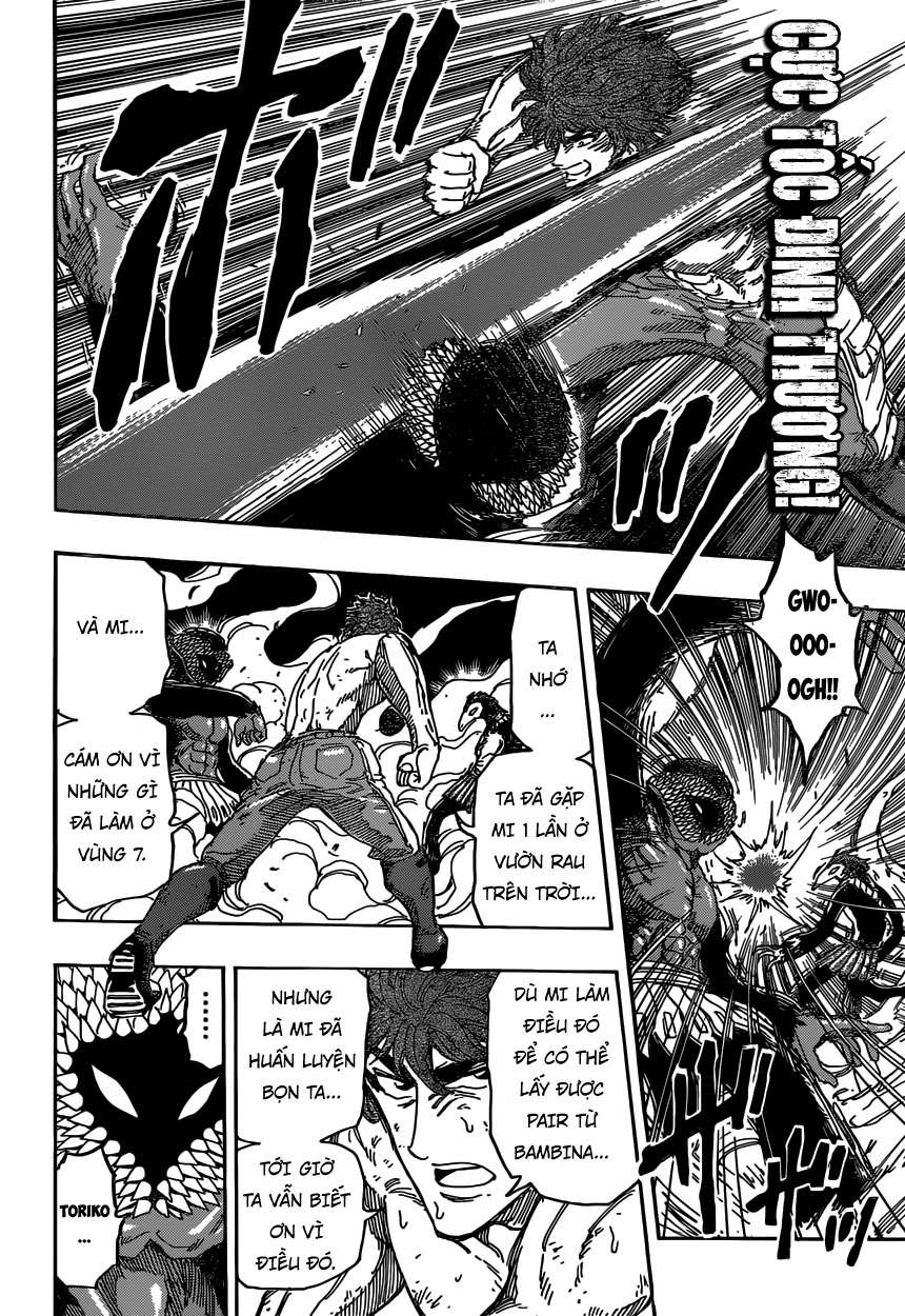 Toriko - Thợ Săn Ẩm Thực Chapter 374 - 12