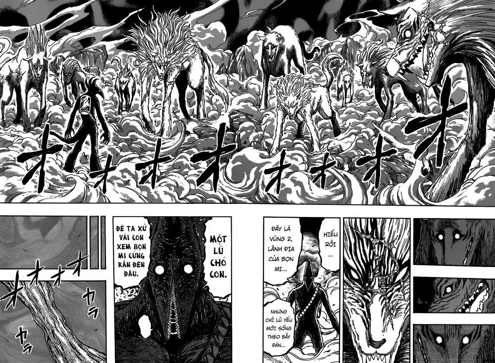 Toriko - Thợ Săn Ẩm Thực Chapter 379 - 14