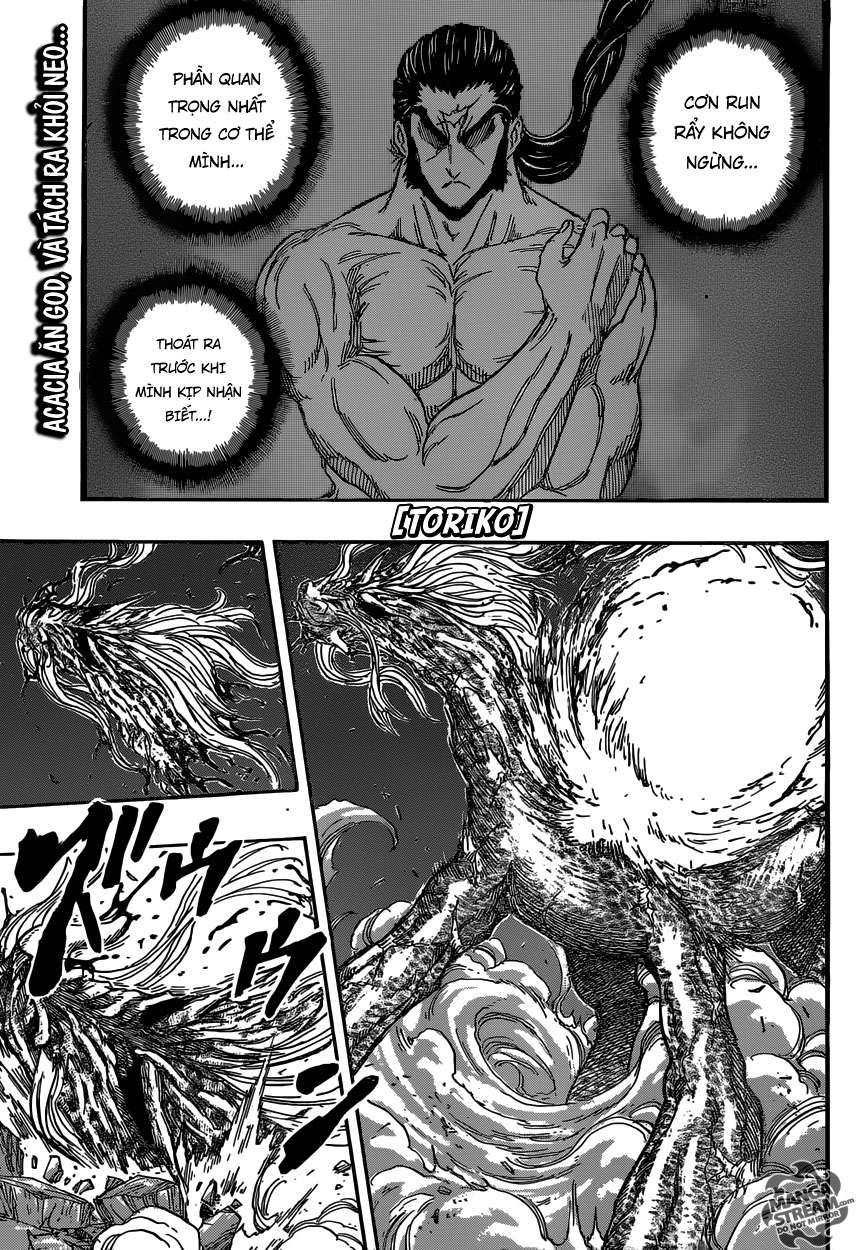 Toriko - Thợ Săn Ẩm Thực Chapter 381 - 1