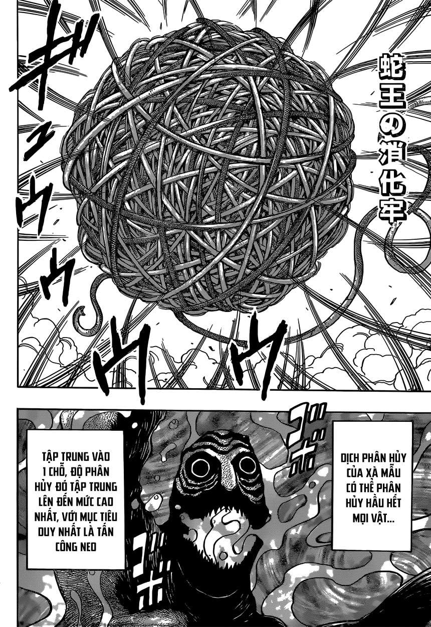 Toriko - Thợ Săn Ẩm Thực Chapter 381 - 7