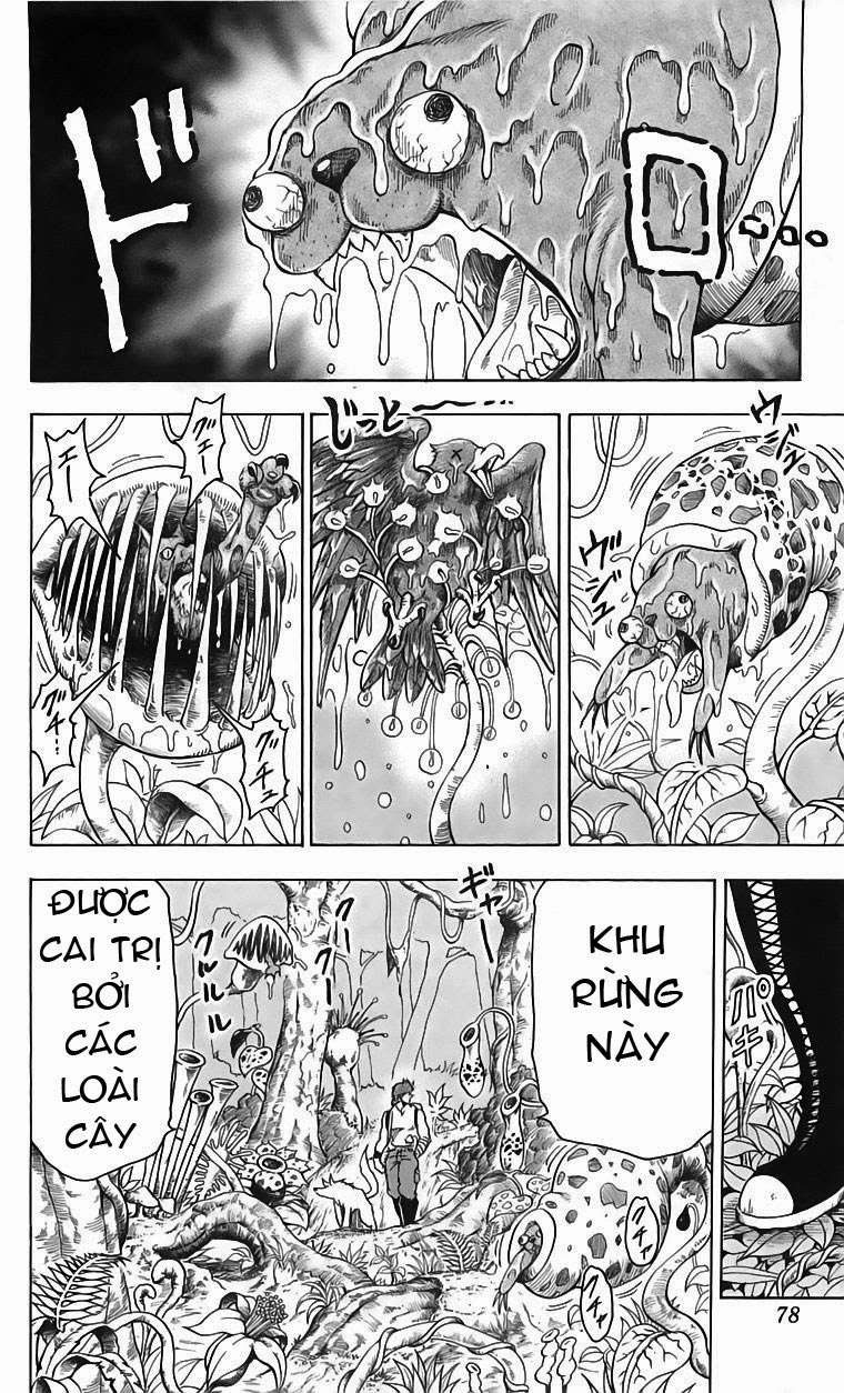 Toriko - Thợ Săn Ẩm Thực Chapter 56 - 13