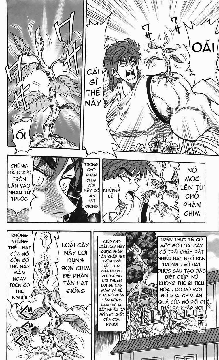 Toriko - Thợ Săn Ẩm Thực Chapter 56 - 15