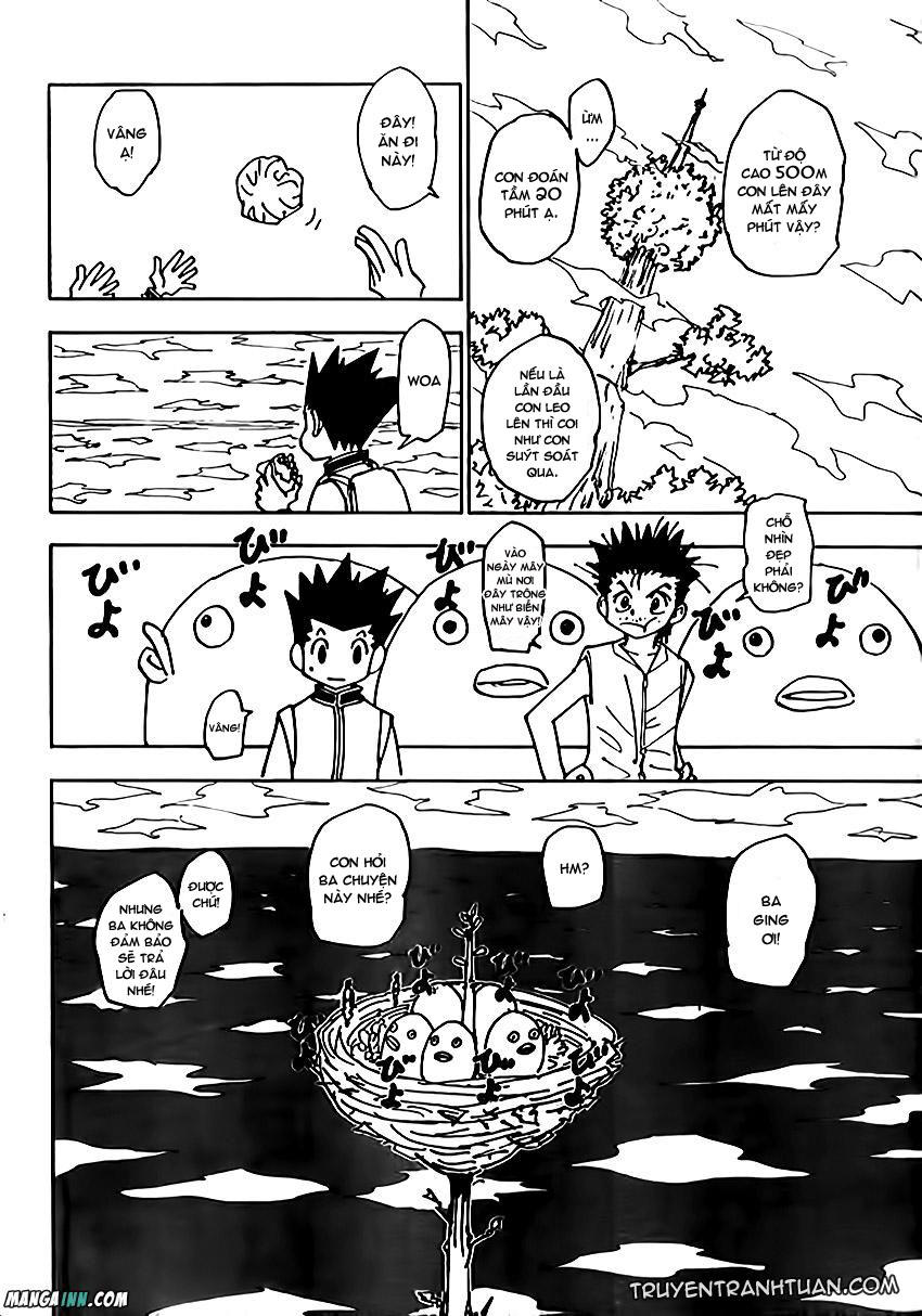 Hunter X Hunter Chapter 228 - 11