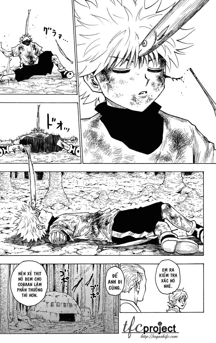 Hunter X Hunter Chapter 240 - 9