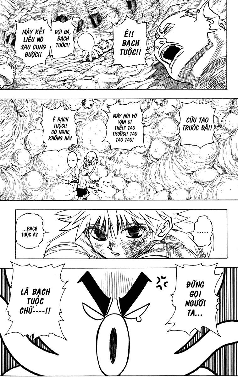 Hunter X Hunter Chapter 241 - 8