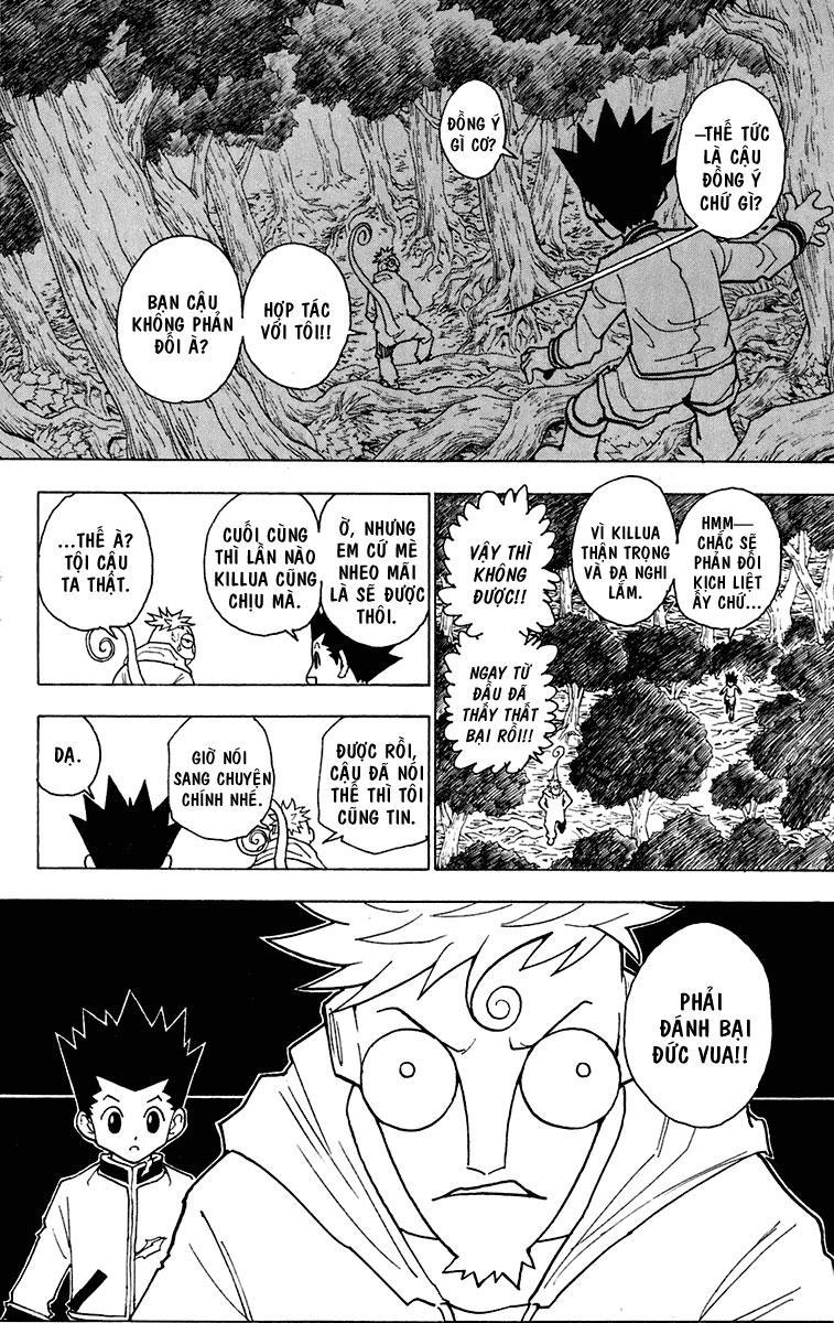 Hunter X Hunter Chapter 242 - 11