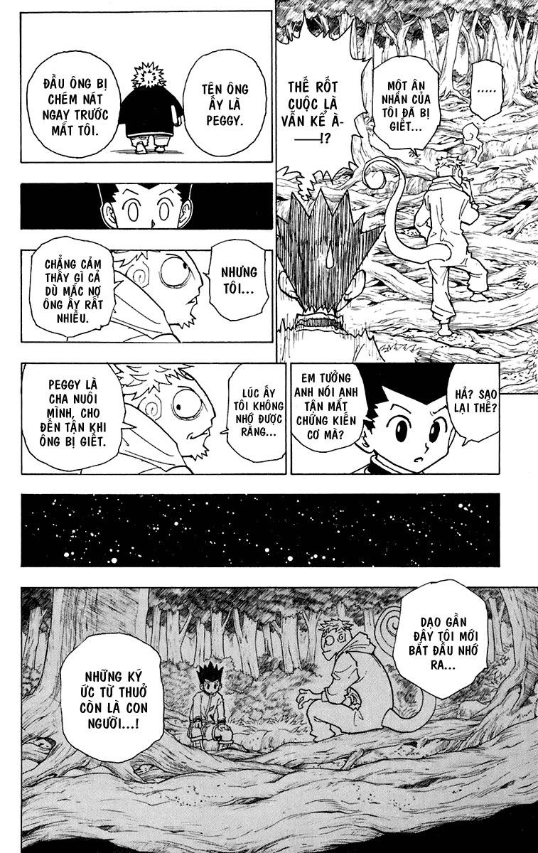 Hunter X Hunter Chapter 242 - 13