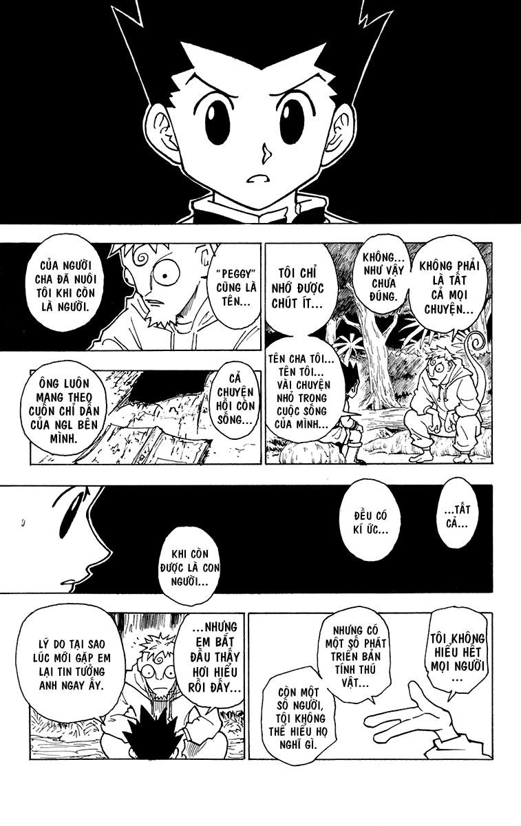 Hunter X Hunter Chapter 242 - 14