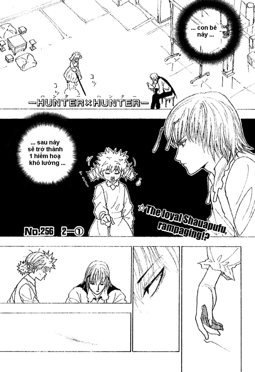 Hunter X Hunter Chapter 256 - 2