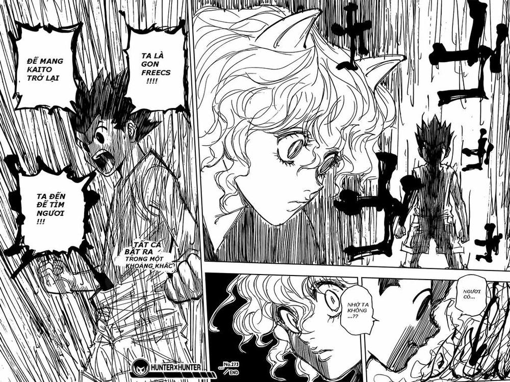 Hunter X Hunter Chapter 273 - 18