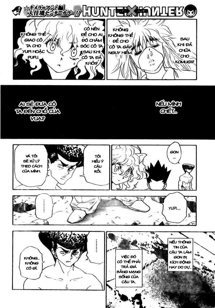 Hunter X Hunter Chapter 295 - 16