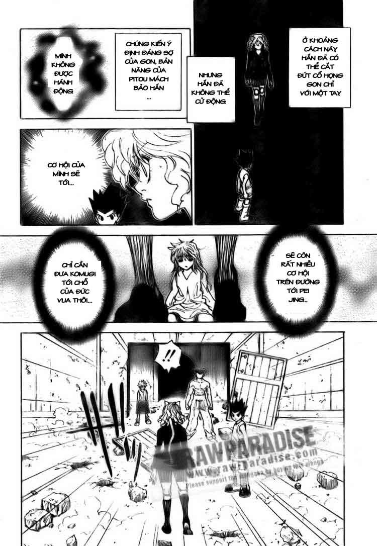 Hunter X Hunter Chapter 300 - 14