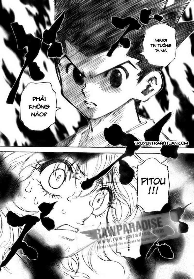 Hunter X Hunter Chapter 300 - 17