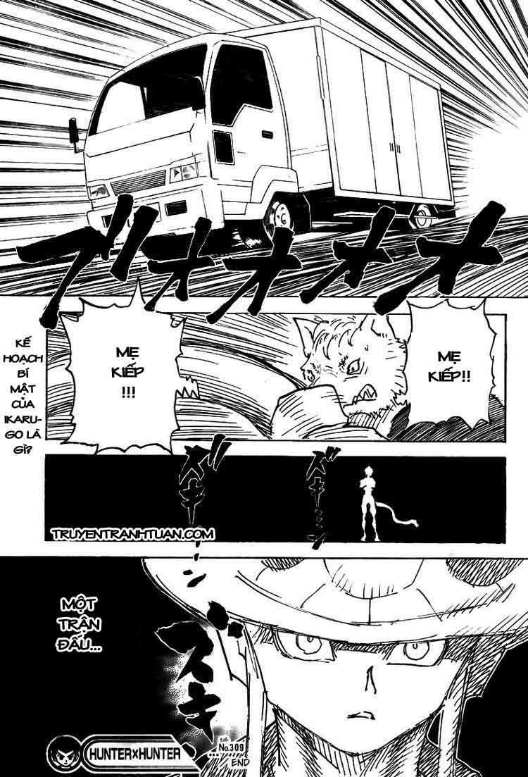 Hunter X Hunter Chapter 309 - 19